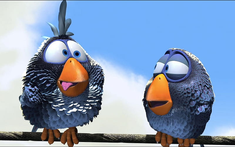 Funny Bluebirds, birds, funny, blue, HD wallpaper