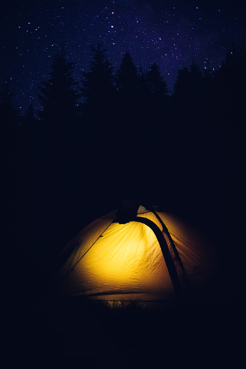 tent, camping, night, forest, HD phone wallpaper