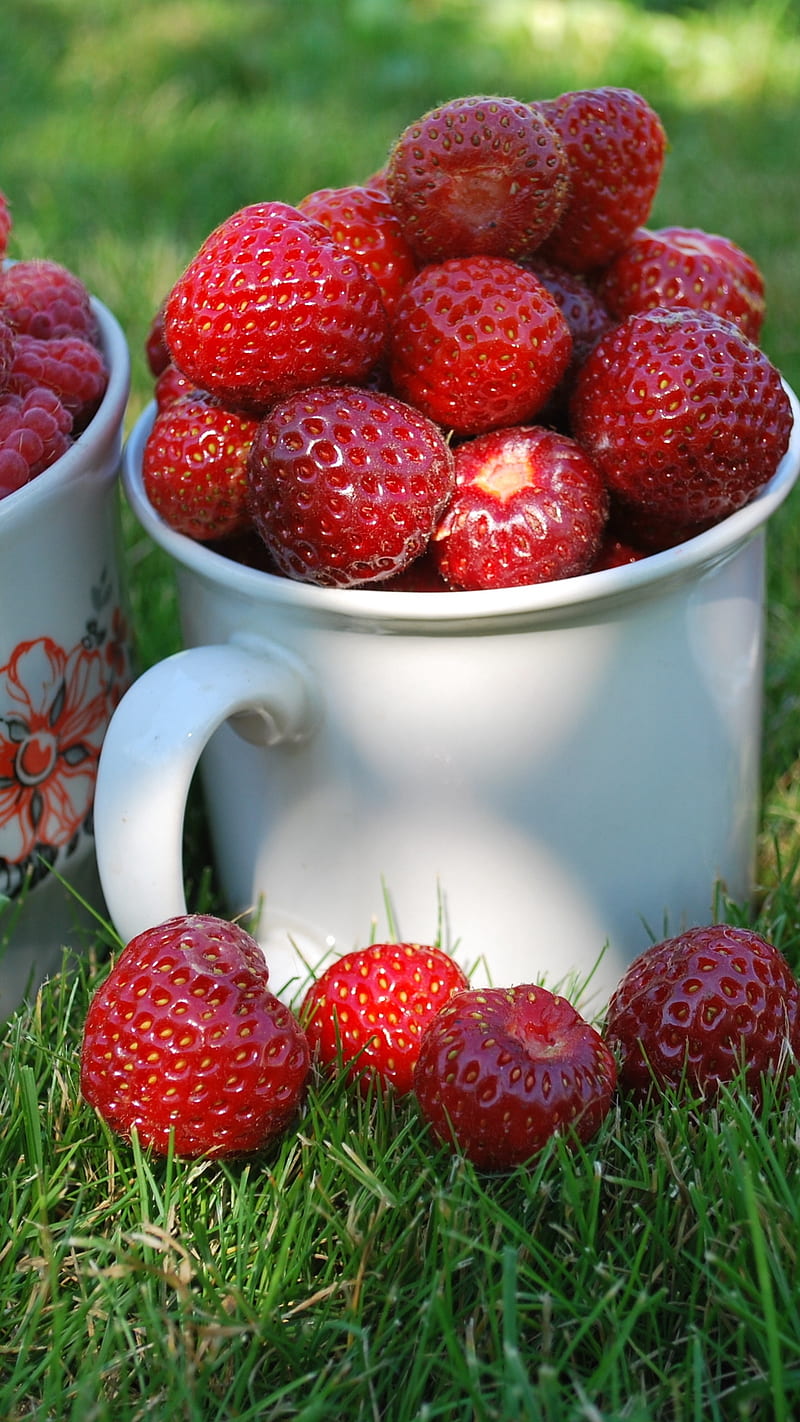 Strawberries in the cup , close up, grass, glass, cups, mugs, summer, strawberry, red, currants, raspberries, berries, food, strawberries in the cup`, HD phone wallpaper