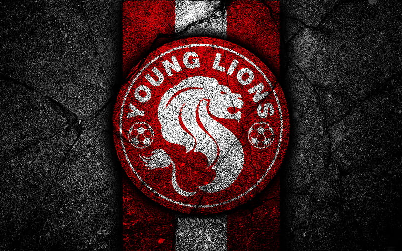 Young Lions FC, emblem, Singapore Premier League, black stone, soccer, Asia, football club, Singapore, logo, Young Lions, asphalt texture, FC Young Lions, HD wallpaper