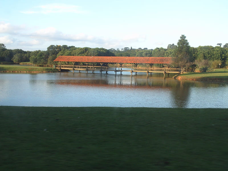 Some part of Curitiba, lakes, nature, park, bridge, HD wallpaper