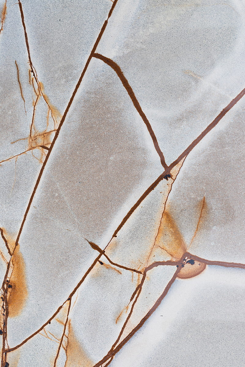 Brown Dried Leaves on White Textile, HD phone wallpaper
