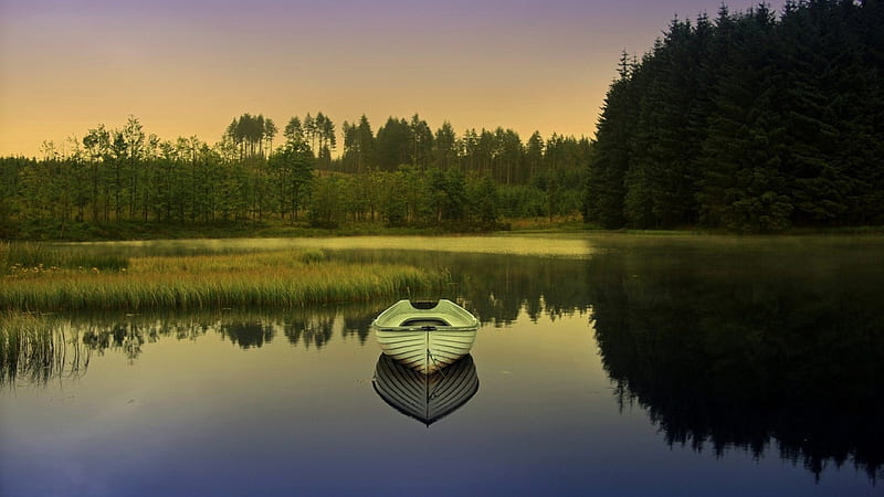 rowboat reflected on a calm lake, rowboat, grass, reflection, trees, lake, HD wallpaper