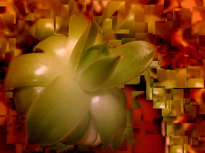 HouseGardian Plant, red, house, green, plant, gardian, HD wallpaper