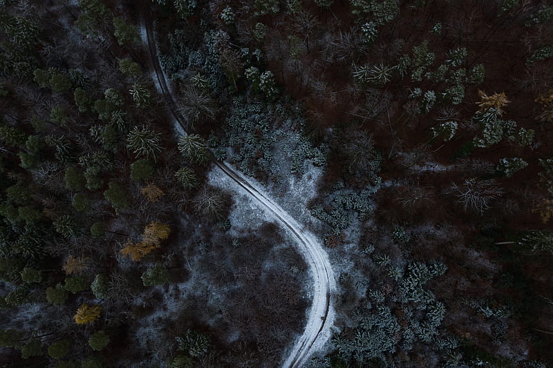 aerial view of road in the middle of trees, HD wallpaper