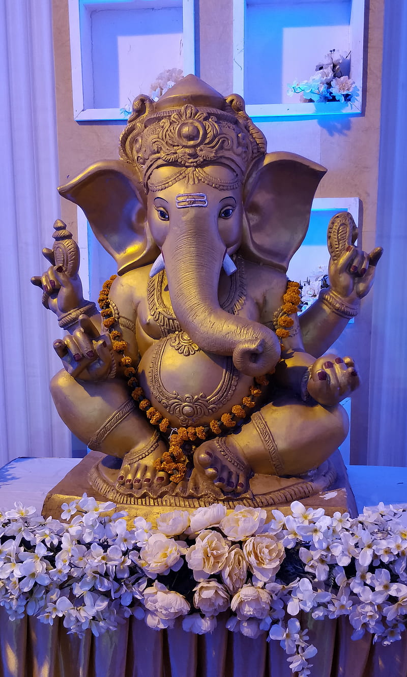 Ganesh, famous, ganpati, god, indian god, most viewed, new, real caputure, vashu7425, HD phone wallpaper