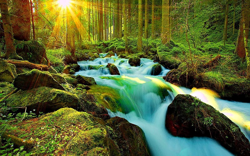 Sun, Waterfall, Forest, , Stream, Sunshine, HD wallpaper | Peakpx