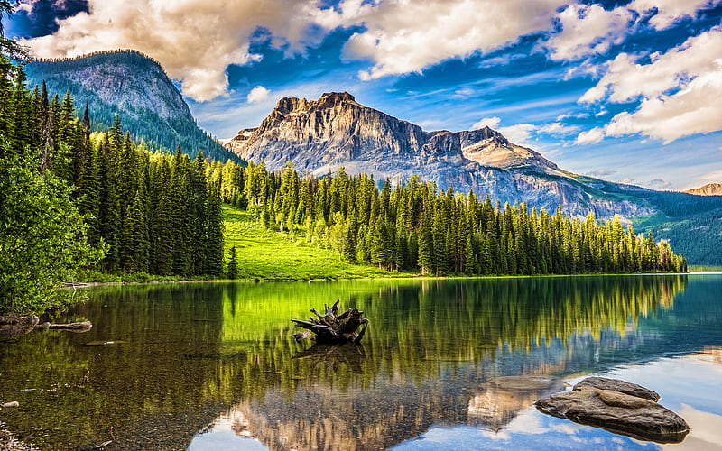 Emerald Lake North America, mountains, forest, Banff National Park, summer, Canada, Alberta, Banff, beautiful nature, HD wallpaper