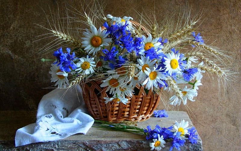 Still life, flowers, basket, fabric, HD wallpaper