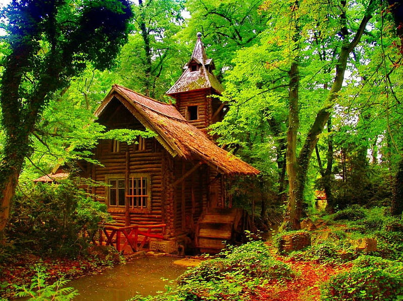 Forest mill, forest, quiet, hut, lovely, mill, cottage, greenery, bonito, cabin, trees, pond, nice, calm, serenity, nature, wooden, HD wallpaper