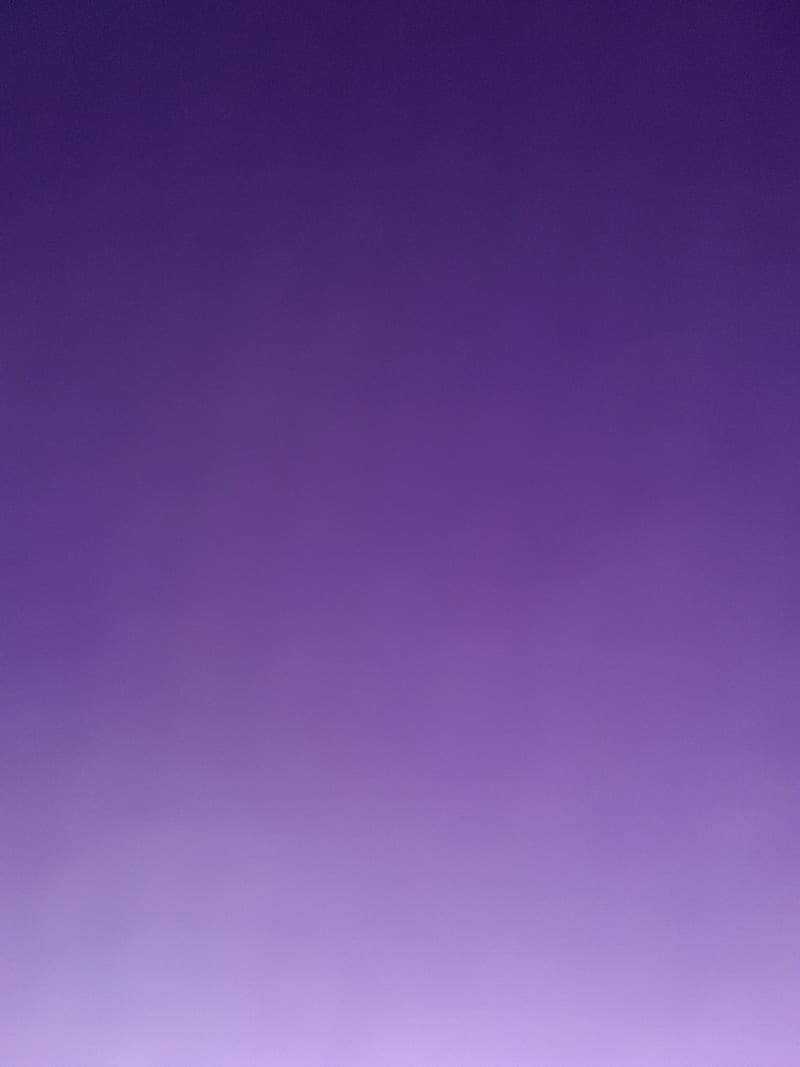 Back to it, background, purple, solid, HD phone wallpaper