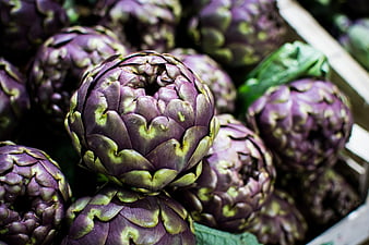 HD artichokes wallpapers | Peakpx