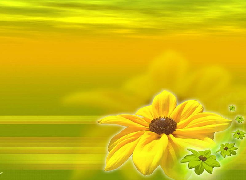 lime green flower wallpapers