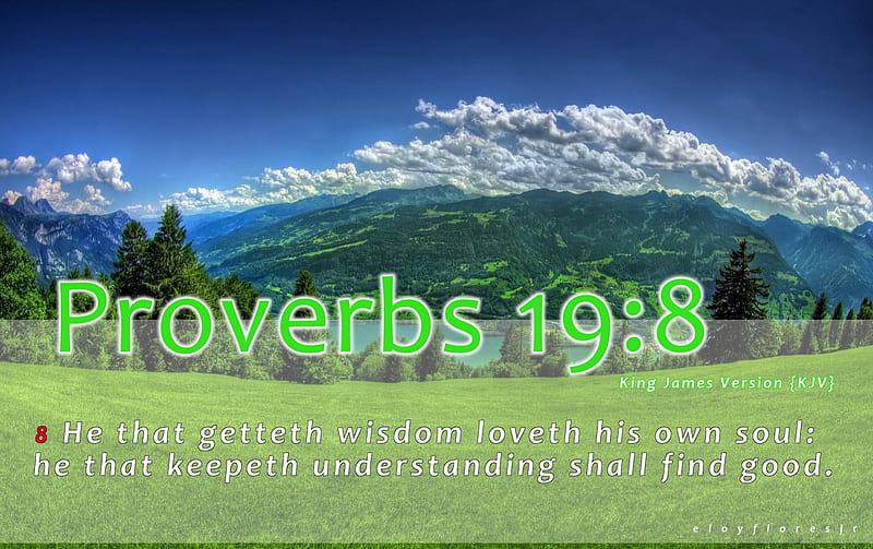 Proverbs 19:8, Christian, bible-verse, bible verse , KJV, Jesus, bible verse background, bible verse, love, God, faith, HD wallpaper