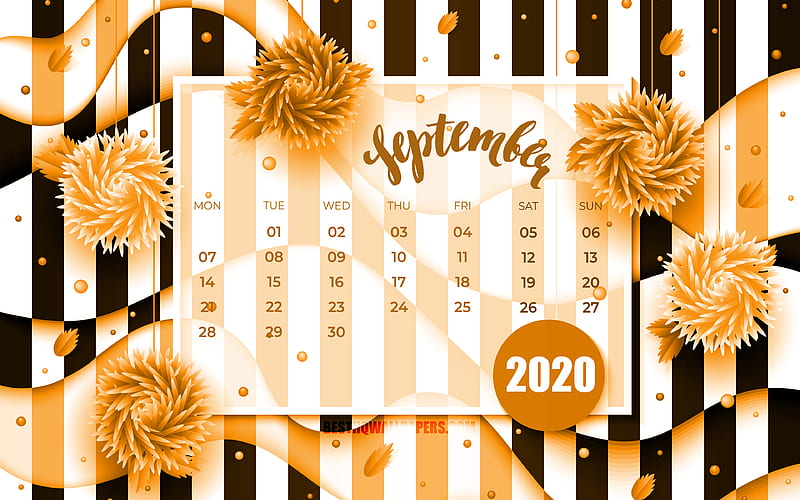 September 2020 Calendar orange 3D flowers, 2020 calendar, autumn calendars, September 2020, creative, September 2020 calendar with flowers, Calendar September 2020, artwork, 2020 calendars, 2020 September Calendar, HD wallpaper