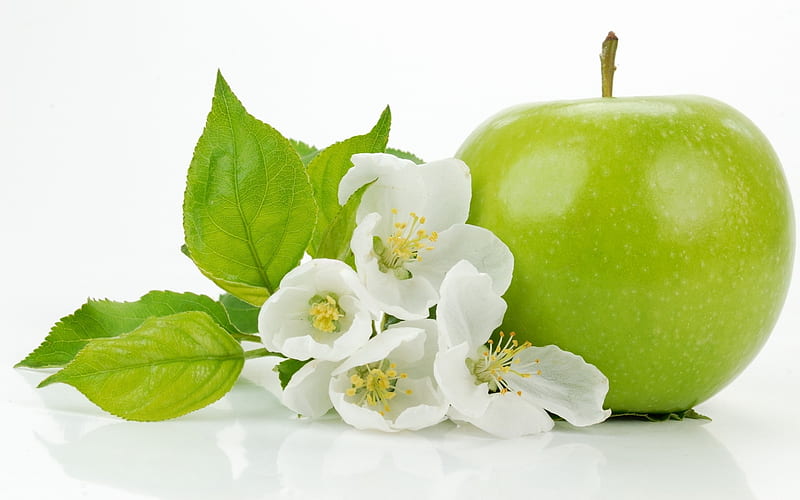 apple and blossoms-Flowers graphy, HD wallpaper
