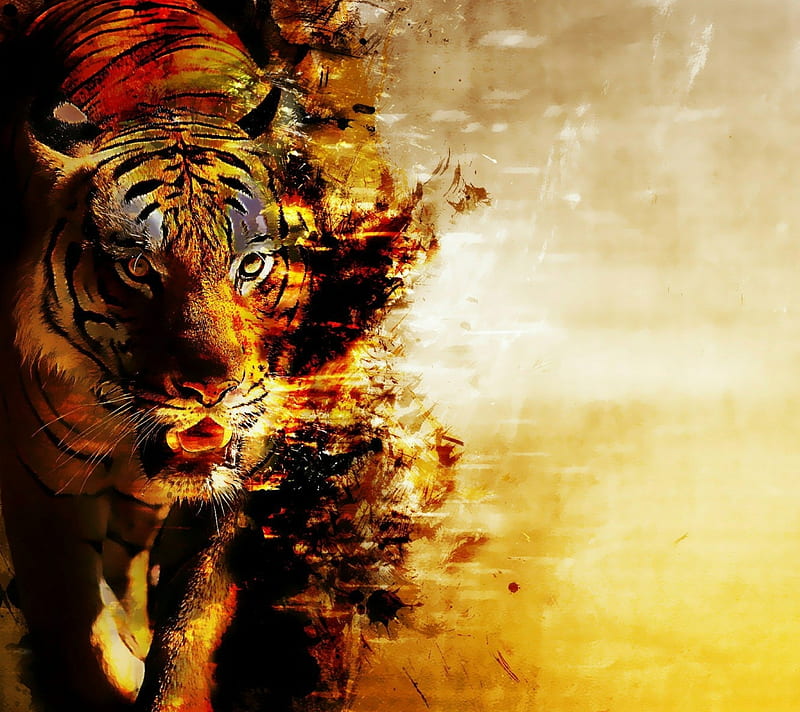 Tiger Angry Facebook Cover