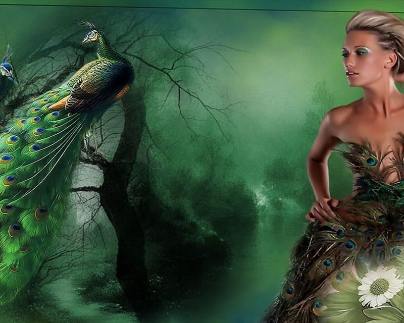 Peacock Lady, peacock, fantasy, green, feathers, HD wallpaper