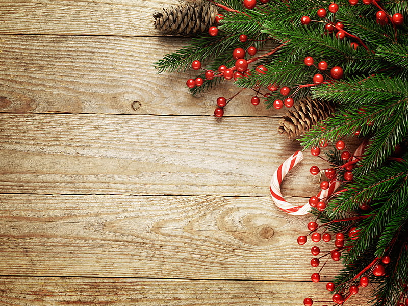 Merry Christmas!, fruit, candy, craciun, green, christmas, berry, wood, card, HD wallpaper