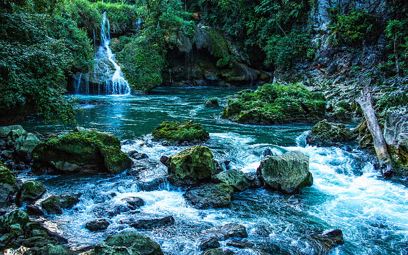 Guatemala, summer, moss, river, jungle, cliffs, beautiful nature, Central America, HD wallpaper