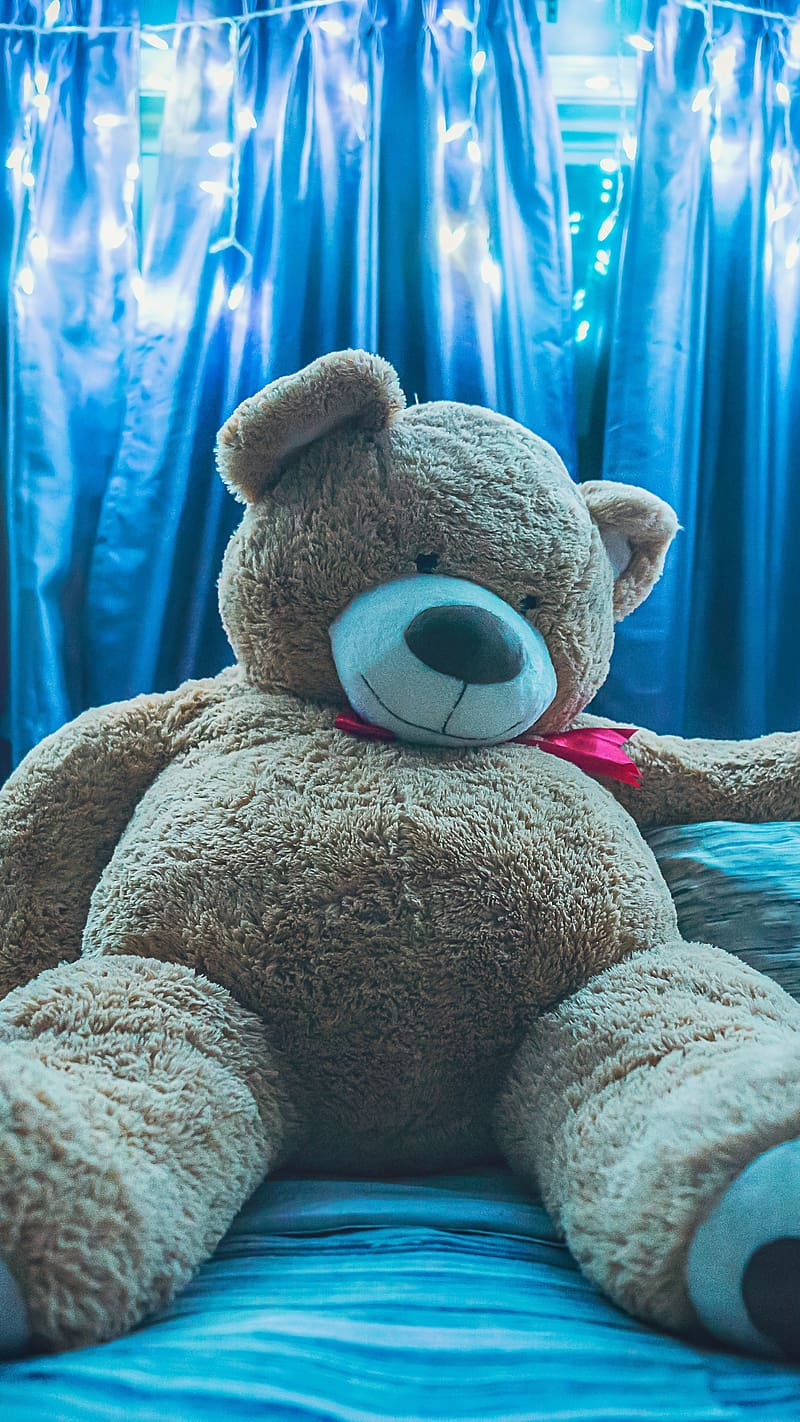 Big Teddy Bear With Blue Light Background, big teddy bear, blue, light background, brown, lying, stuff toy, HD phone wallpaper