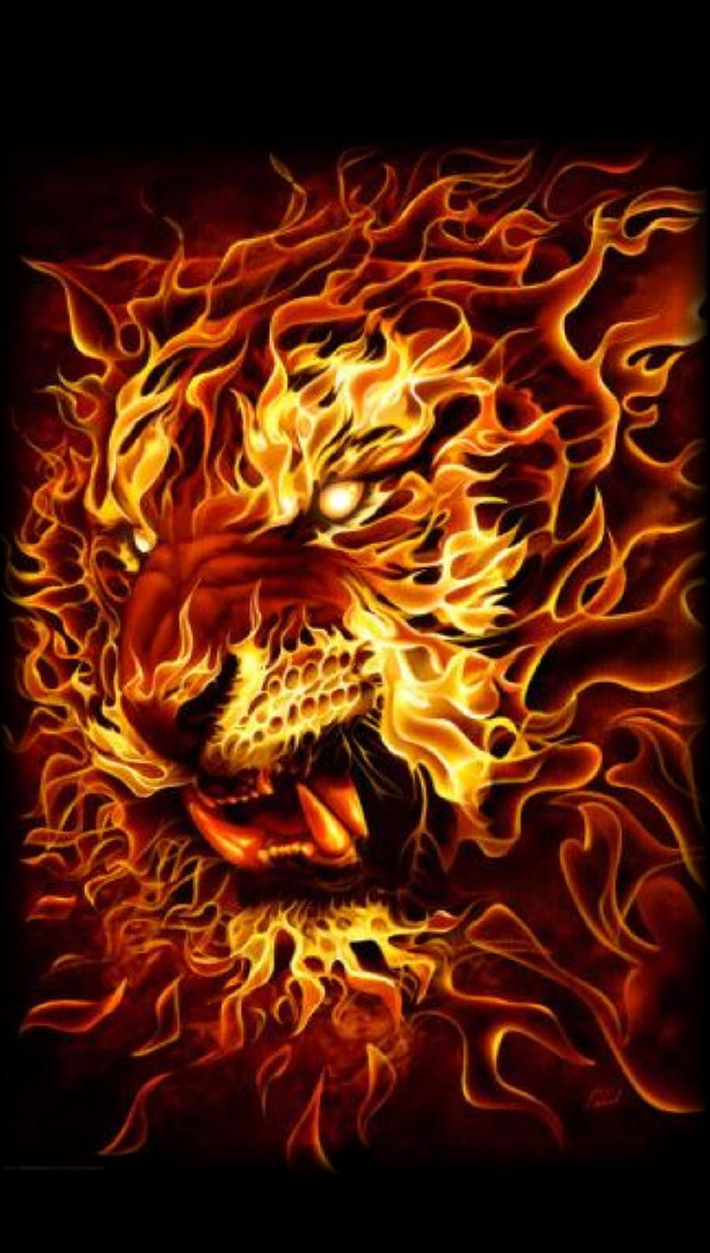 Flame Tiger, HD phone wallpaper