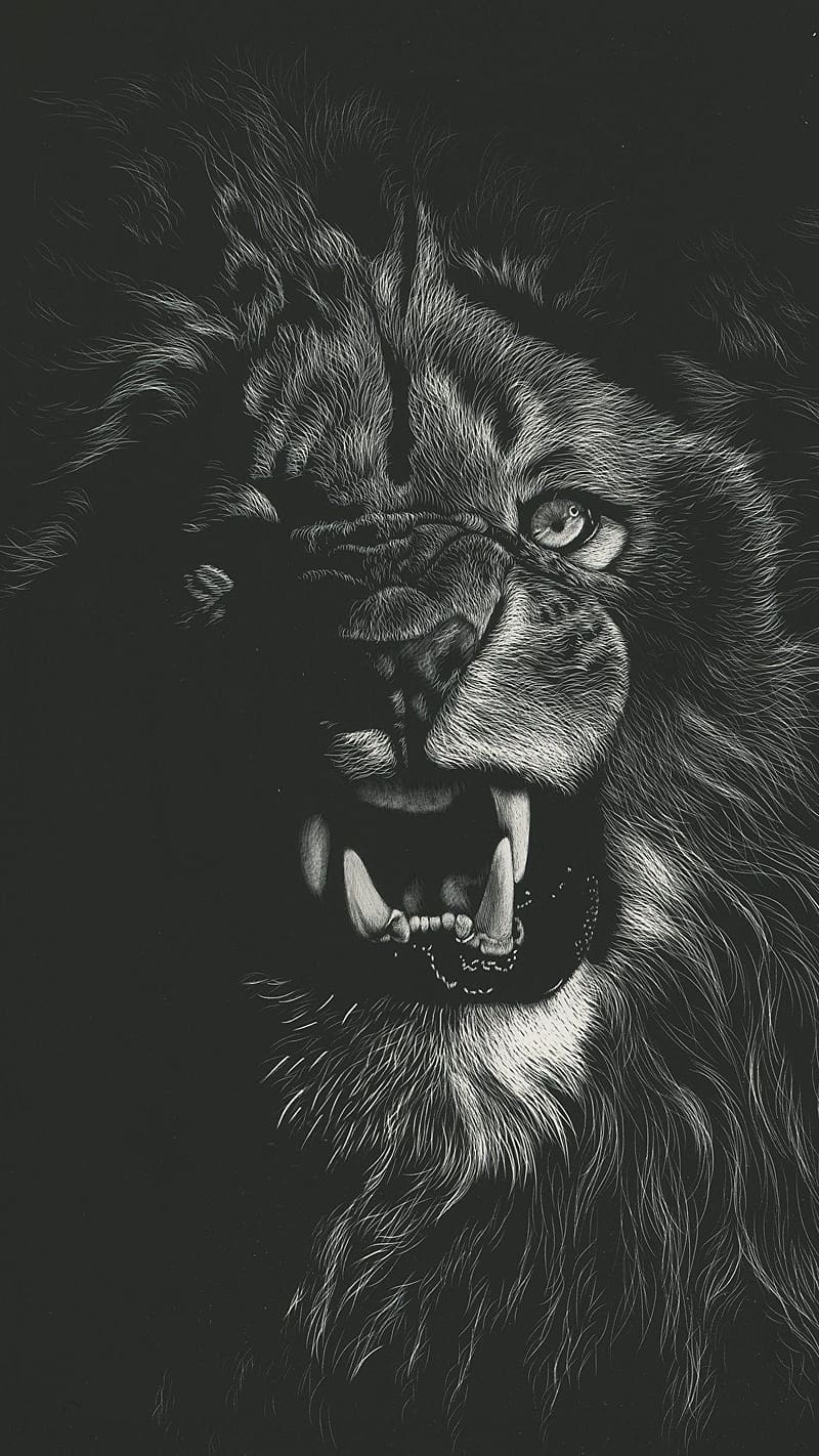 Angry Lion, Black And White, animal, wild, HD phone wallpaper