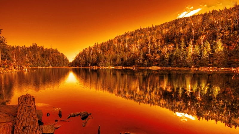 Orange Lake, forest, orange, sunset, trees, sky, lake, mountain, nature, reflection, wood, HD wallpaper