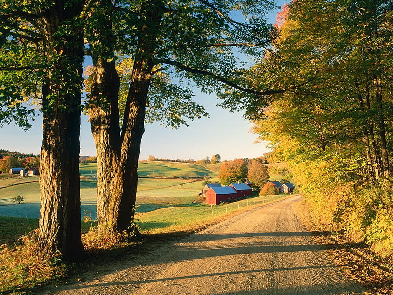 Golden farm, farm, autumn, trees, landscape, HD wallpaper | Peakpx