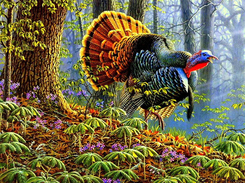 Woodland Inhabitant, forest, woods, ground cover, fog, mist, bird, turkey, wild turkey, flowers, HD wallpaper