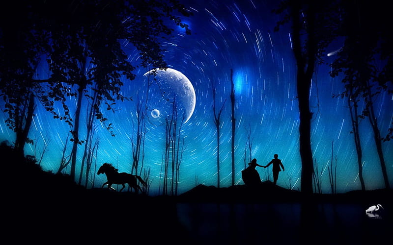 Pair in the Night, stars, moon, trees, horse, HD wallpaper