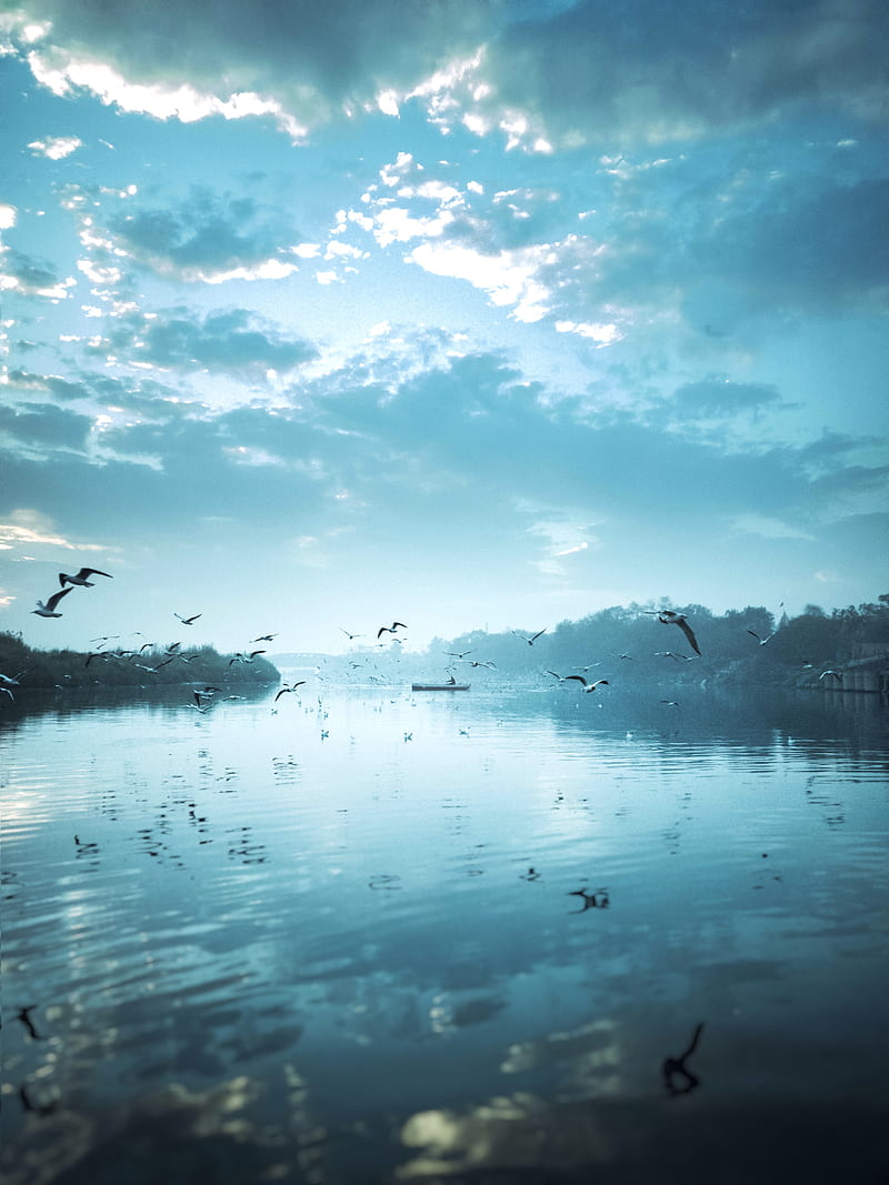 river, birds, flock, fly, sky, boat, reflection, HD phone wallpaper
