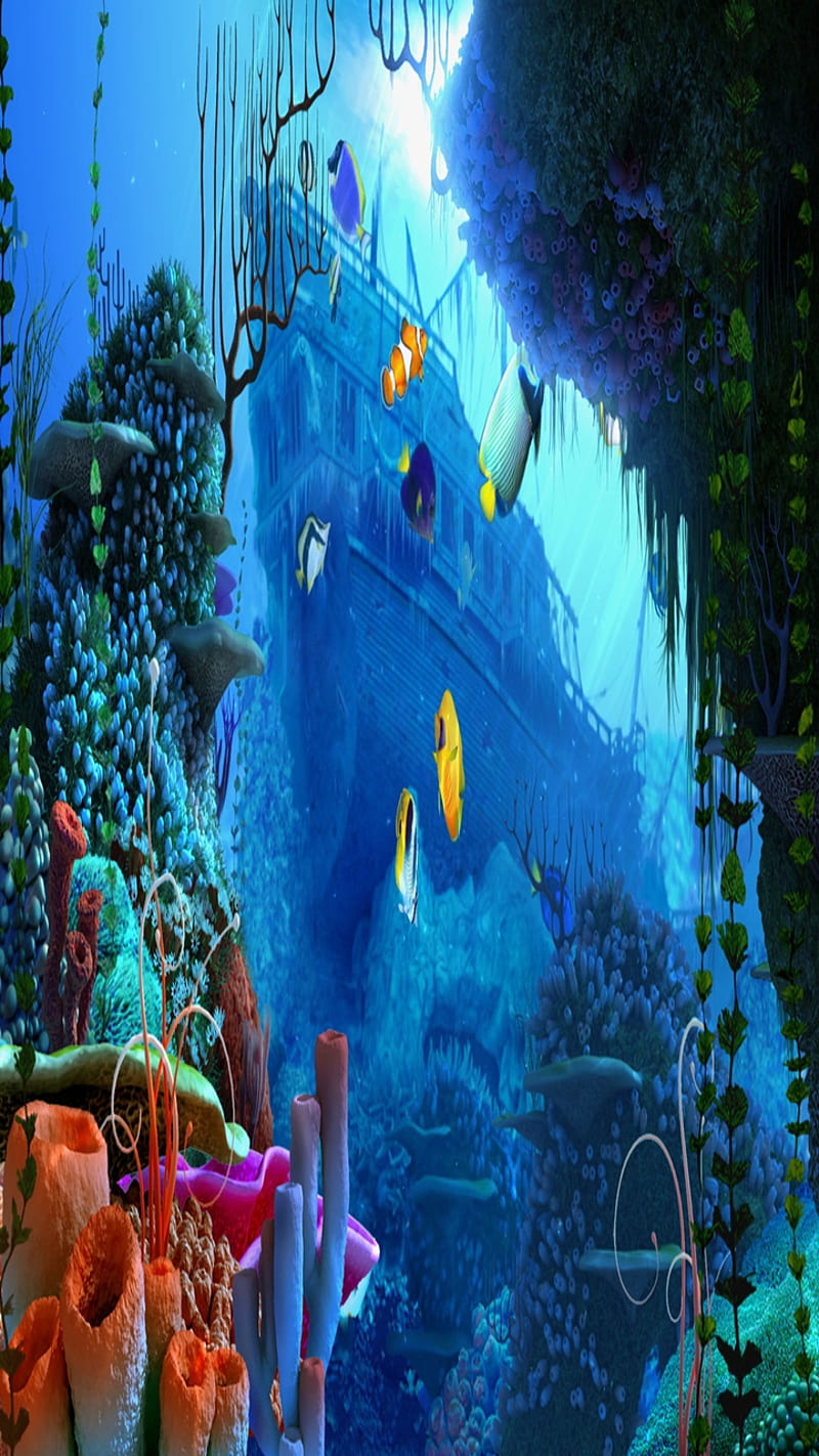 Aquarium, cool, cute, fishes, good, house, lovely, nature, sea, HD phone  wallpaper | Peakpx