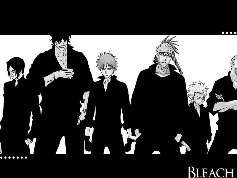 Black AND White Power, bleach, shinigami, ichigo, black, white, HD wallpaper