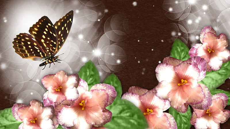 Butterfly Wonder, fall, flowers, autumn, glow, twinkle, lustre, brown, flash, winkle, sparkle, glint, butterfly, scintillate, shimmer, papillon, flowers, light, glisten, radiate, flare, glitter, spangle, spring, glister, glimmer, summer, luster, wink, gleam, HD wallpaper