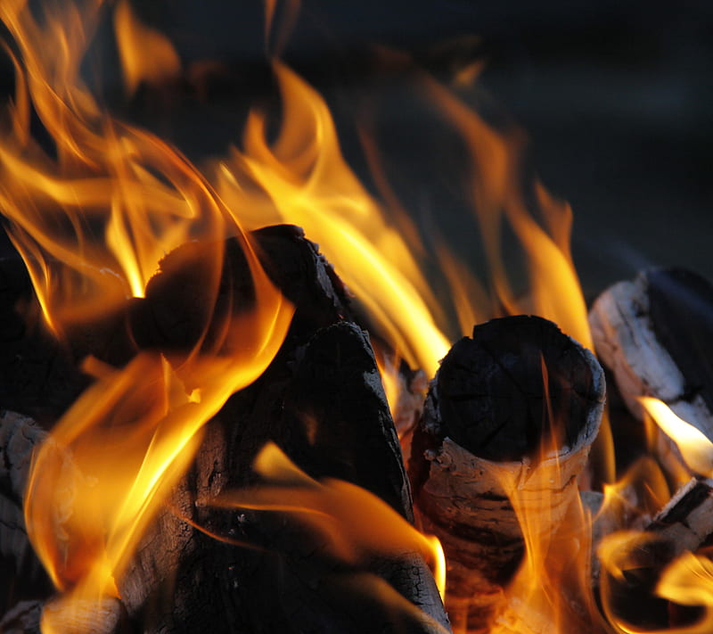 Fire, burning, flame, wood, HD wallpaper