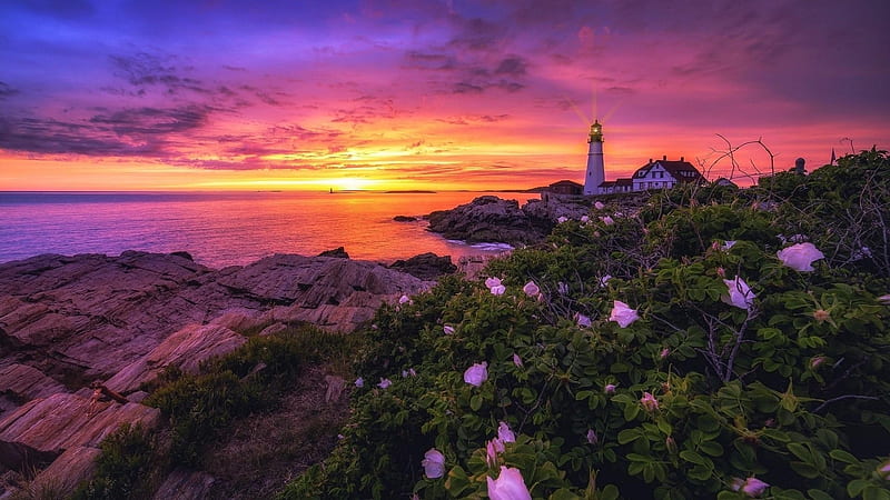 Portland Head Lighthouse,Maine, shore, cape, flowers, nature, sky, coast, lighthouse, sea, HD wallpaper