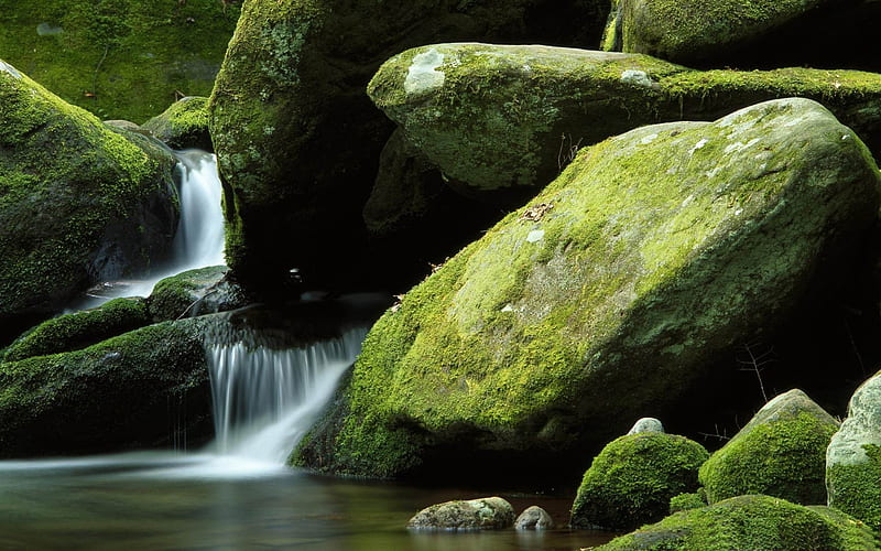 moss rocks-The worlds most beautiful waterfall landscape, HD wallpaper