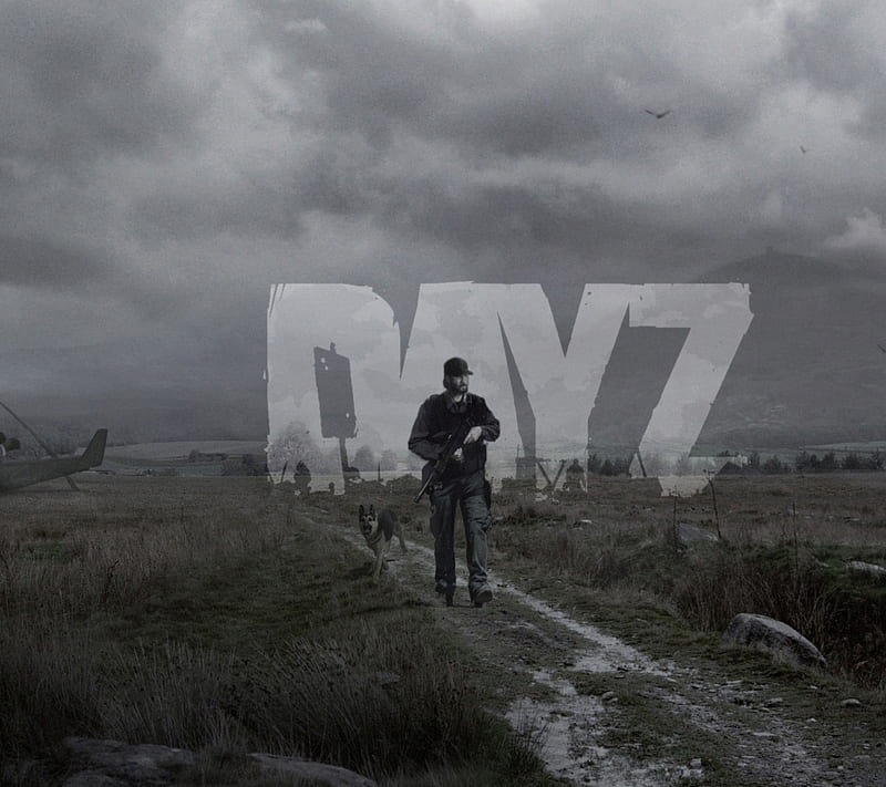 Dayz, gun, zombie, HD wallpaper