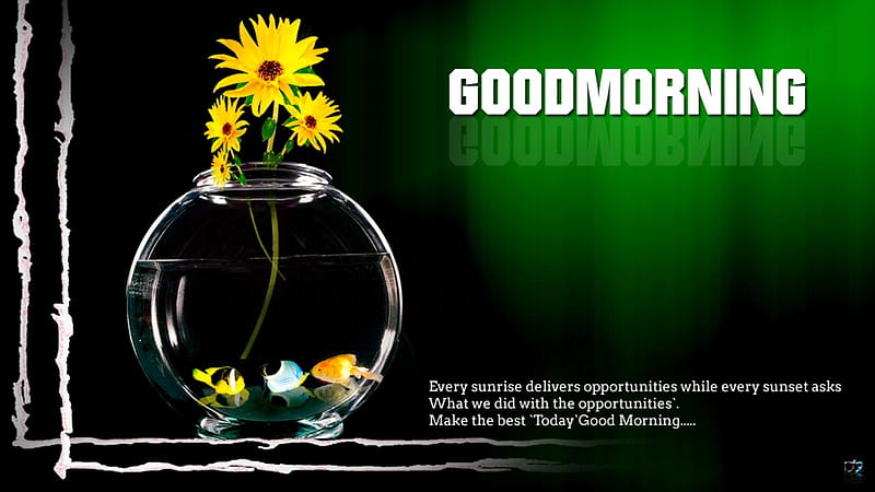 A New Sunrise, A New Morning, Fish, Fish Bowl, Flowers, Good Morning, HD wallpaper