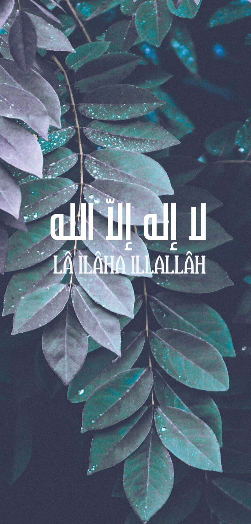 La Ilaha Illallah, islamic, kalima, muhammad, prophet, HD phone wallpaper |  Peakpx