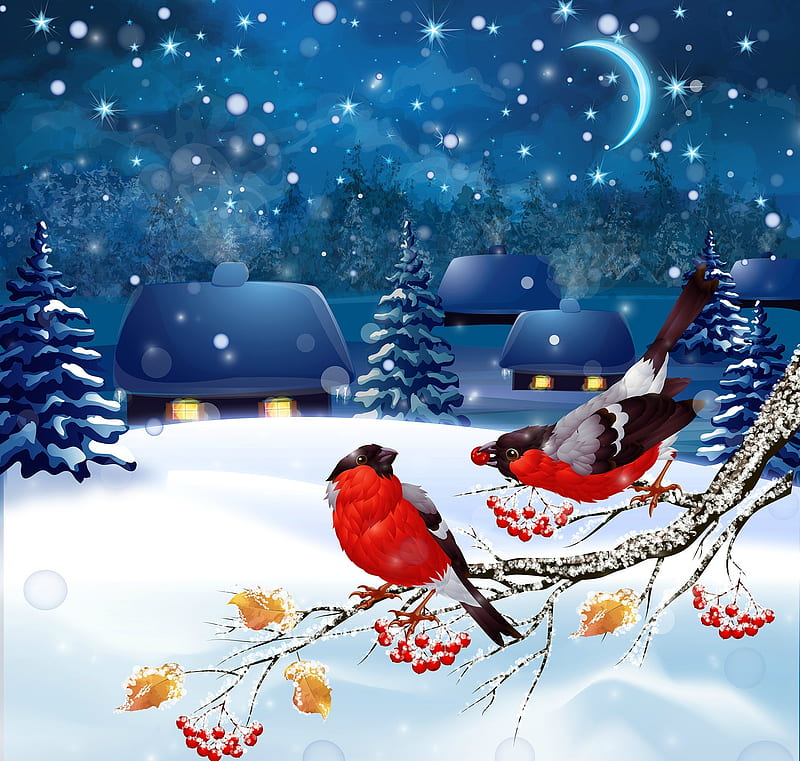 Winter night, red, house, branch, moon, berry, smoke, blue, night, moon,  craciun, HD wallpaper | Peakpx