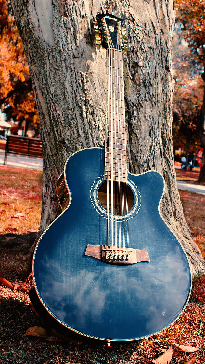 Guitar , gitar metal, strings, blue, tree, HD phone wallpaper