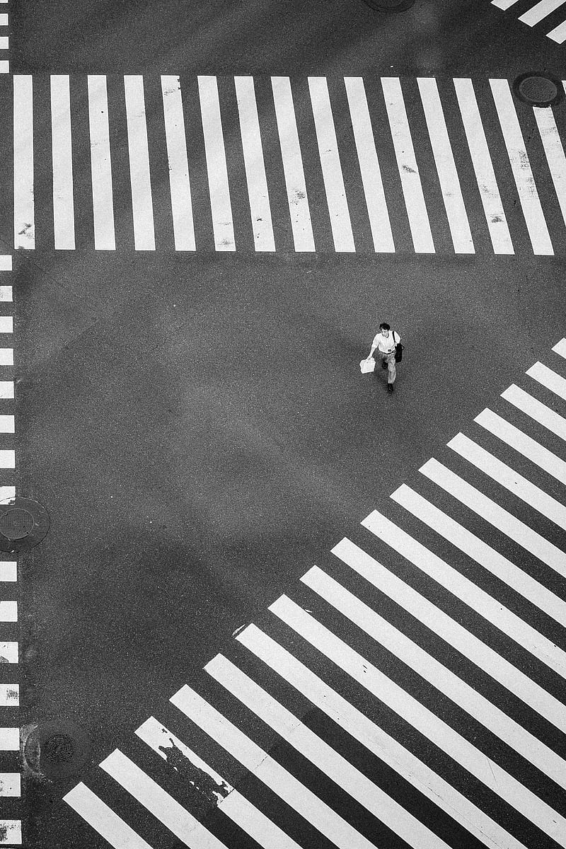 man walking at the center of crisscrossing pedestrian lanes, HD phone wallpaper
