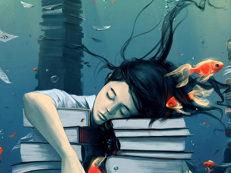 I'm too exhausted to study, boy, sleep, fish, book, tired, HD wallpaper