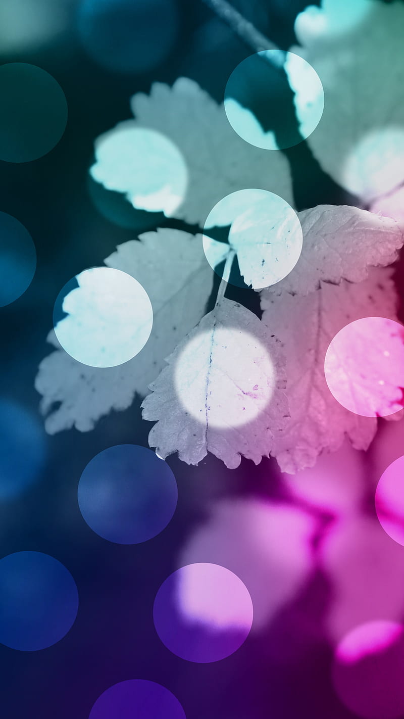 Dot Leaf, blur, blurred, color, lights, HD phone wallpaper