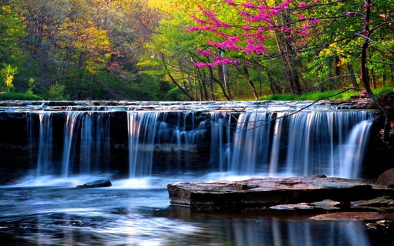 SPRING FALLS, forest, nature, spring, waterfalls, HD wallpaper