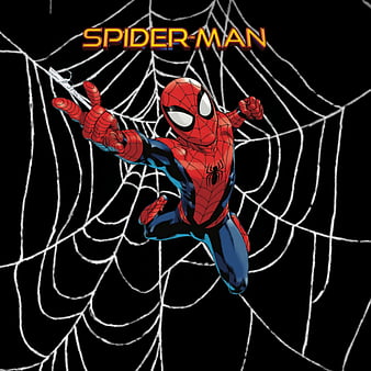 Spiderman, webs, HD phone wallpaper | Peakpx