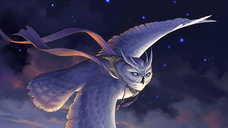 Owl Highwind Glider, owl, artist, artwork, digital-art, HD wallpaper