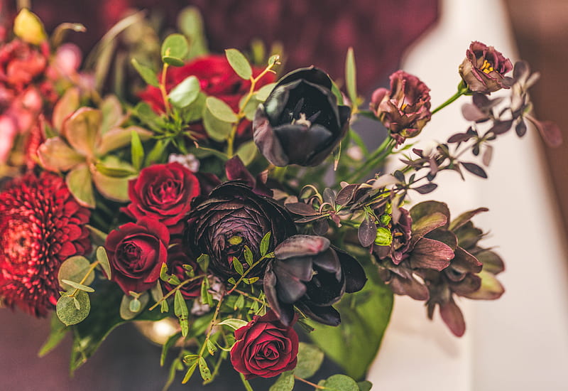 flowers, bouquet, roses, tulips, red, black, HD wallpaper